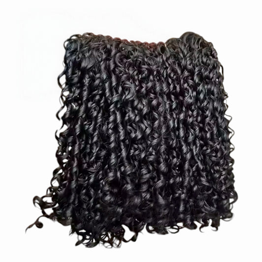 Burmese Pixie funmi Curly